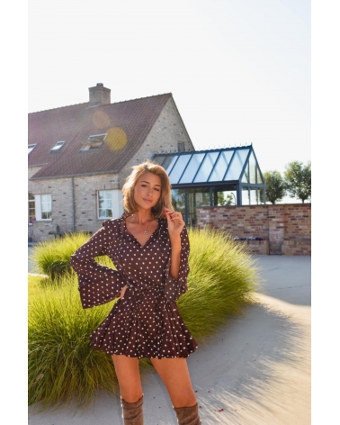 Polka dress brown
